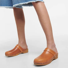 Isabel Marant Brown Thalie Clogs