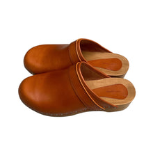 Isabel Marant Brown Thalie Clogs